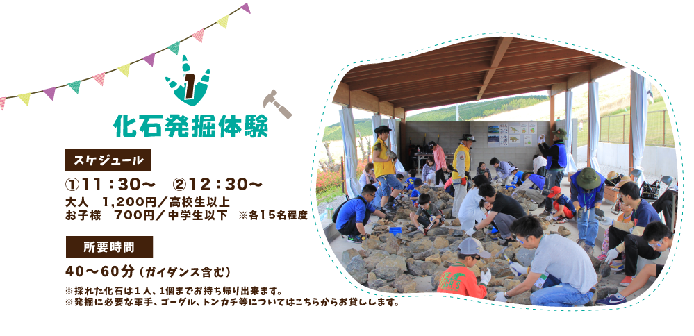 化石発掘体験